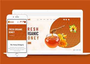 农家蜂蜜网上销售HTML5模板下载 - 项目资源网
