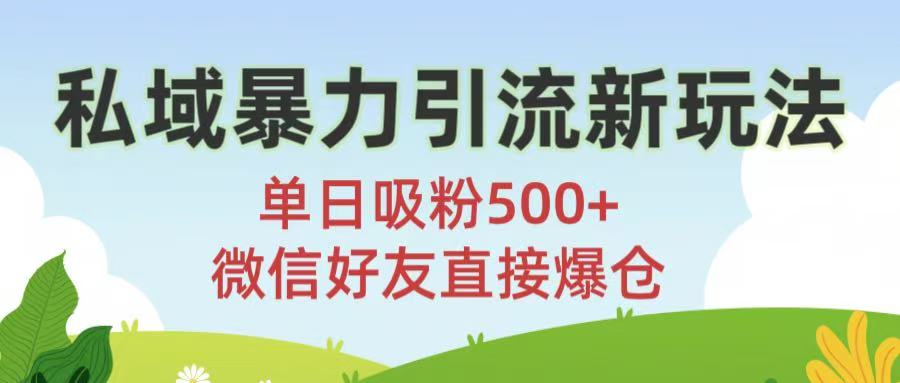 私域暴力引流新玩法!单日吸粉500+，微信好友直接爆仓 - 臻优资源网