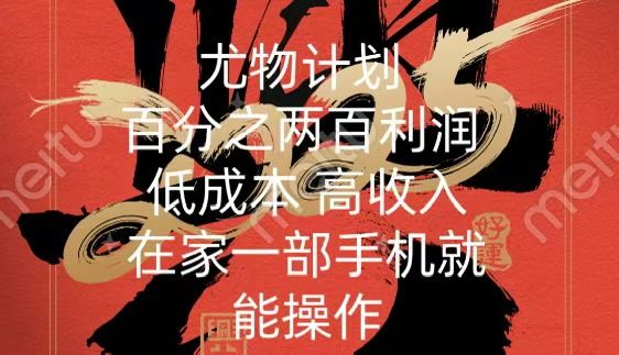 尤物计划-200％暴利 低成本 高收入 一部手机即可操作 - 臻优资源网