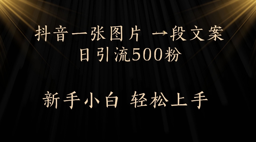 抖音一张图片，一段文案日引流500粉，新手小白 轻松上手 - 臻优资源网