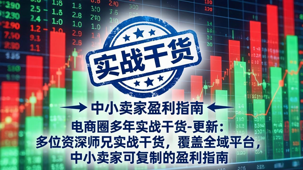 （18398期）电商圈多年实战干货-更新5月10：多位资深师兄实战干货/覆盖全域平台，中小卖家可复制的盈利指南 - 臻优资源网