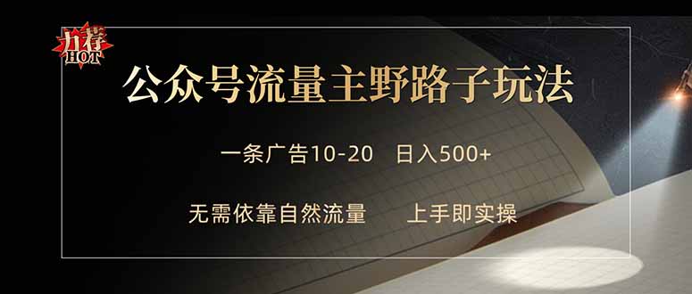 （18178期）公众号流量主野路子玩法 单条广告10-20元 日入500+ - 臻优资源网