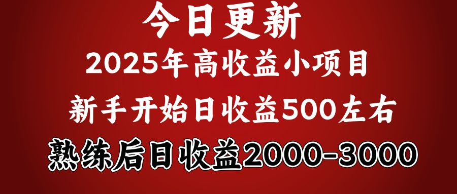好项目一眼就能看出来，日收益1000，长久可做，2025拼的就是我比你勤奋 - 臻优资源网