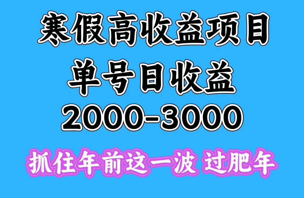 寒假期间一天收益2000-3000+，抓住年前这一波 - 臻优资源网
