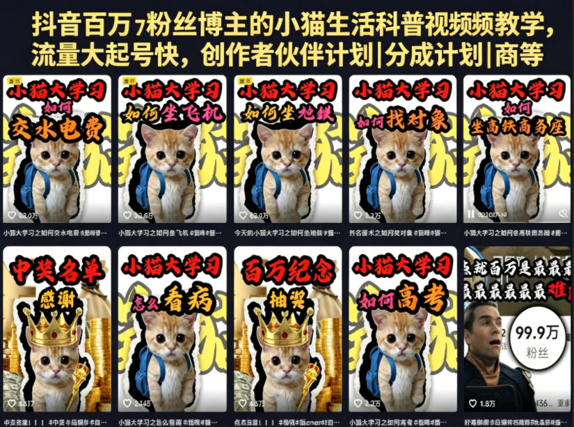 抖音百万粉丝博主的小猫生活科普视频教学，流量大起号快，创作者伙伴计划|分成计划|商单|收徒等 - 臻优资源网