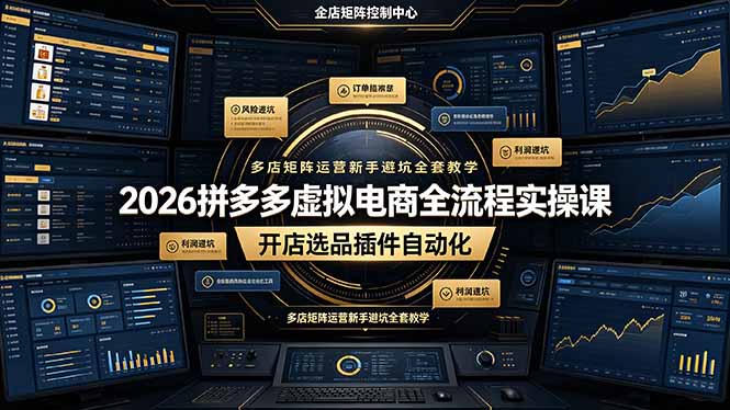 （19136期）2026拼多多虚拟电商全流程实操课，开店选品插件自动化，多店矩阵运营新手避坑全套教学 - 臻优资源网