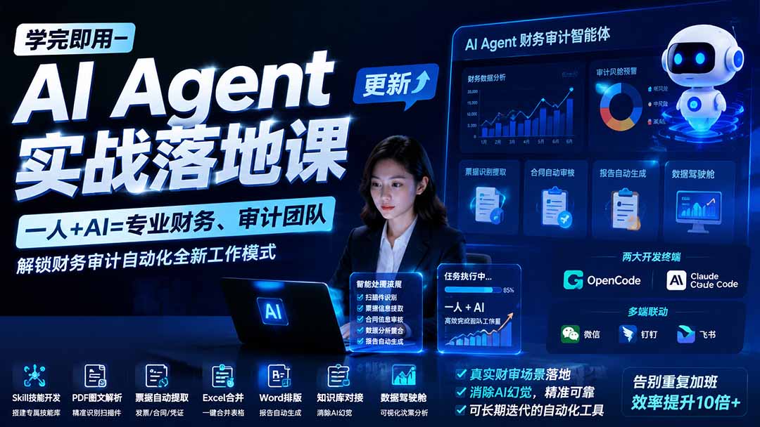 （20625期）【无水印】学完 即用-AI Agent实操落地课-更新0924：一人 + AI=专业财务、审计团队，解锁财务审计自动化全新工作模式 - 臻优资源网