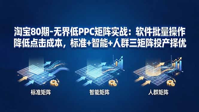 （17987期）淘宝80期-无界低PPC矩阵实战：软件批量操作降低点击成本，标准+智能+人群三矩阵投产择优 - 臻优资源网