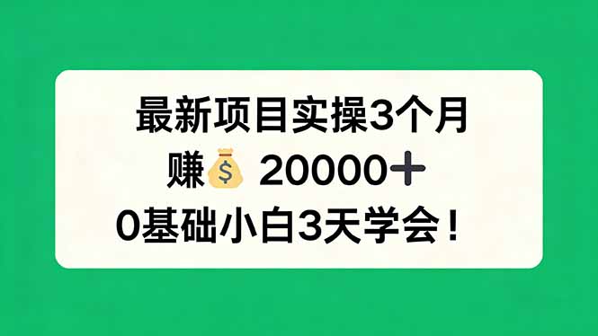 （17856期）最新项目实操3个月，赚钱20000+，0基础小白3天学会！ - 臻优资源网
