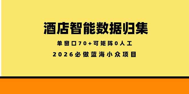 （18500期）酒店智能数据归集，小众蓝海已经稳定半年之久，单窗口70+零成本矩阵开干 - 臻优资源网