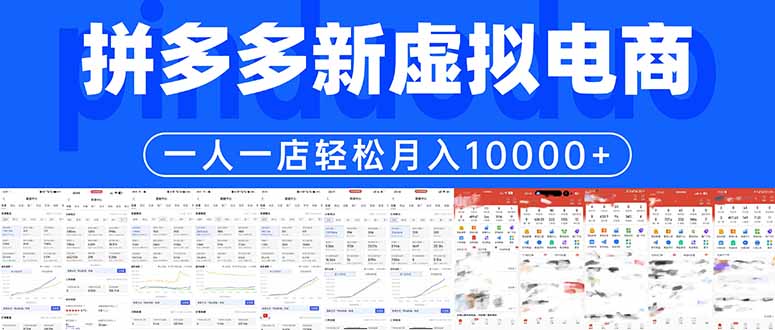 （17978期）拼多多虚拟电商一人一店轻松月入10000+ - 臻优资源网