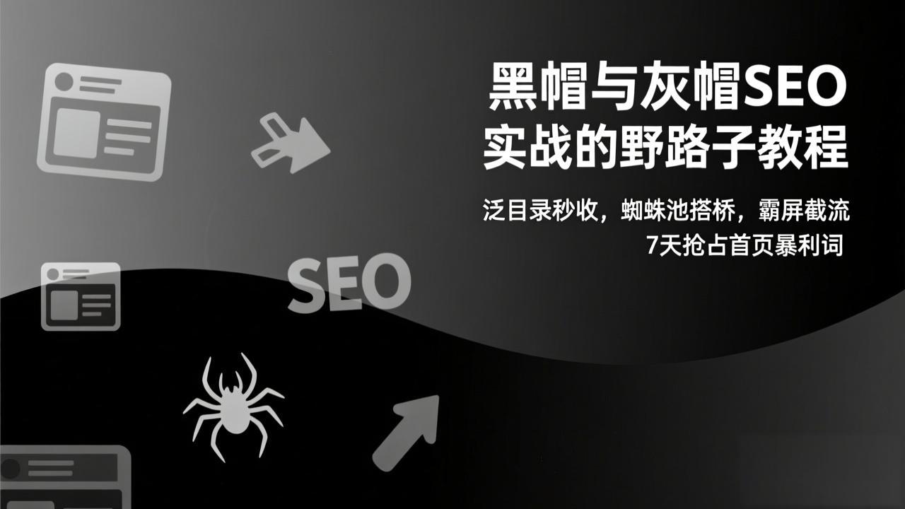 （17125期）黑帽与灰帽SEO实战的野路子教程：泛目录秒收，蜘蛛池搭桥，霸屏截流，7天抢占首页暴利词 - 臻优资源网