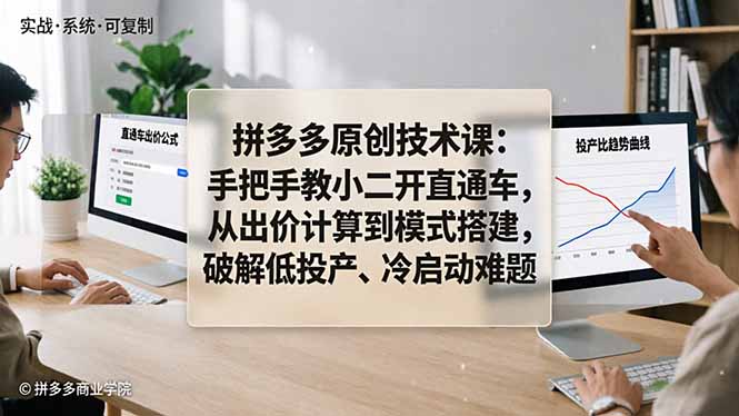 （18159期）拼多多原创技术课：手把手教小二开直通车，从出价计算到模式搭建，破解低投产、冷启动难题 - 臻优资源网