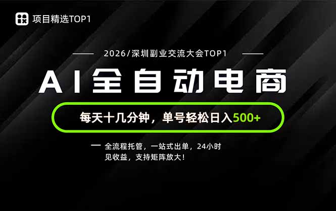 （19783期）副业精选TOP1，全流程托管，24小时见收益，单号轻松日入500+ - 臻优资源网
