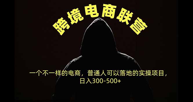 （20702期）跨境电商联营，一个不一样的电商，普通人可操作日入300-500+ - 臻优资源网