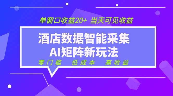 （19041期）2026酒店数据采集ai智能矩阵新风口  低成本   高收益   当天见收益   单窗口20+ - 臻优资源网