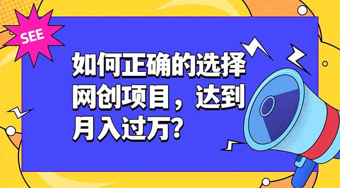 （19176期）如何正确的选择网创项目，达到月入过万？，本课程教你正确选择项目。 - 臻优资源网