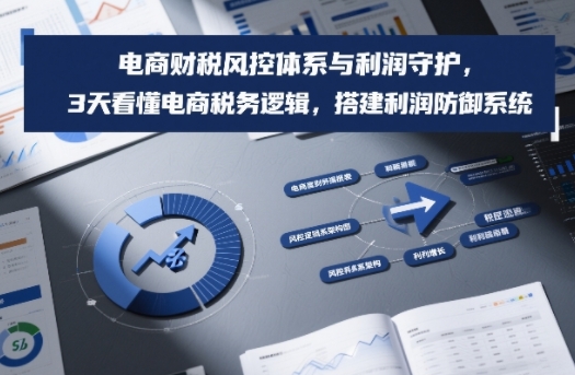 电商财税风控体系与利润守护，3天看懂电商税务逻辑，搭建利润防御系统 - 臻优资源网