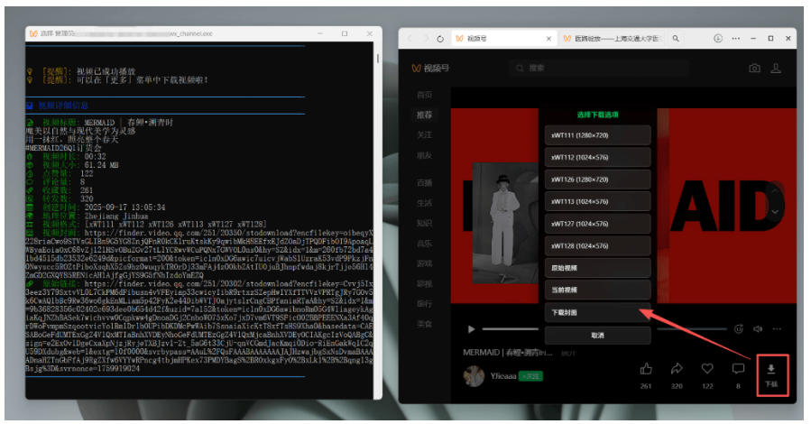 图片[4] - Github热门工具，视频号下载神器又来了！一键注入下载按钮，轻松下载，使用便捷wx_channel - 臻优资源网