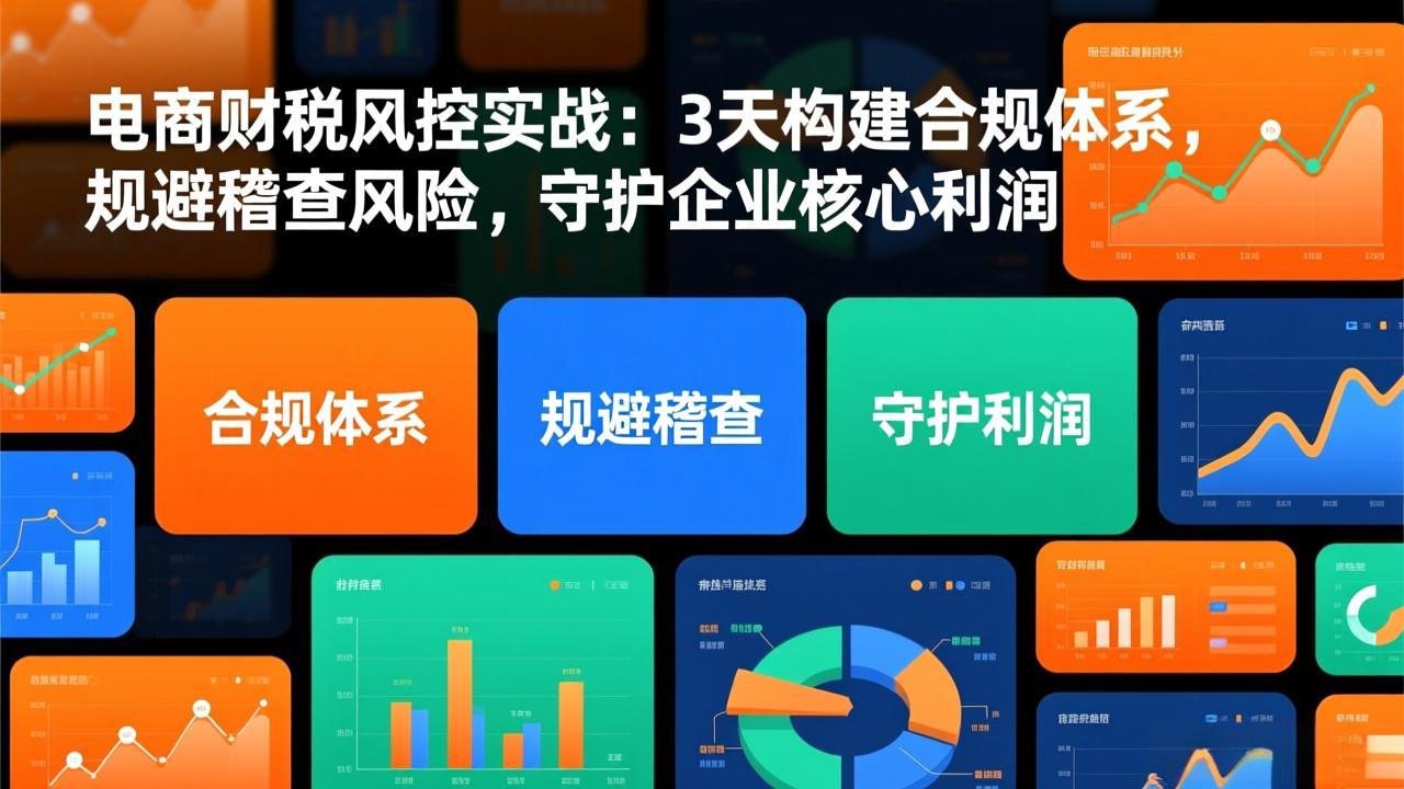 （17197期）电商财税风控实战：3天构建合规体系，规避稽查风险，守护企业核心利润 - 臻优资源网