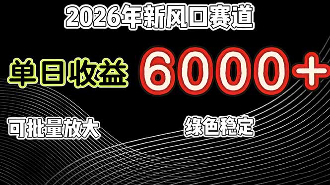 （17135期）2026年新风口赛道，当日6000+以上，可批量放大，月收入20万+，长期绿色稳定的项目 - 臻优资源网
