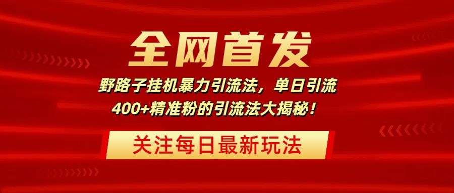 全网首发,野路子挂机暴力引流法,单日引流400+精准粉的引流法大揭秘! - 臻优资源网