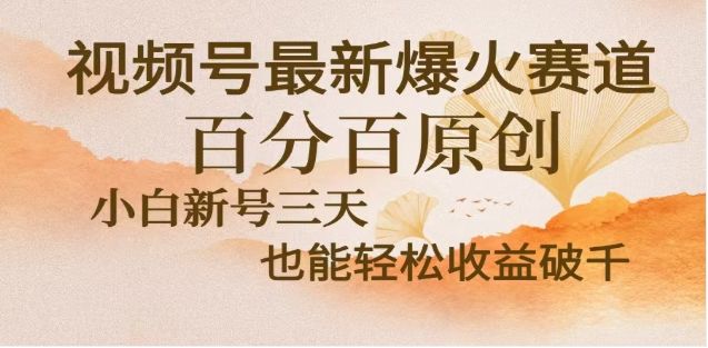 视频号独家玩法，老年养生赛道，无脑搬运爆款视频，日入2000+ - 臻优资源网