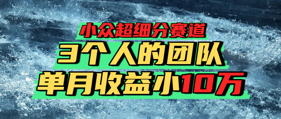 小众超细分赛道,一年百万利润的盘子! - 臻优资源网
