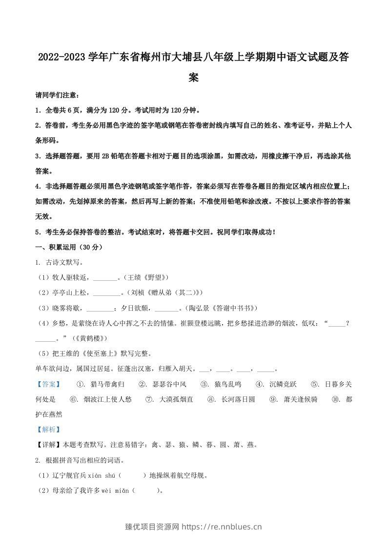 2022-2023学年广东省梅州市大埔县八年级上学期期中语文试题及答案(Word版) - 臻优资源网