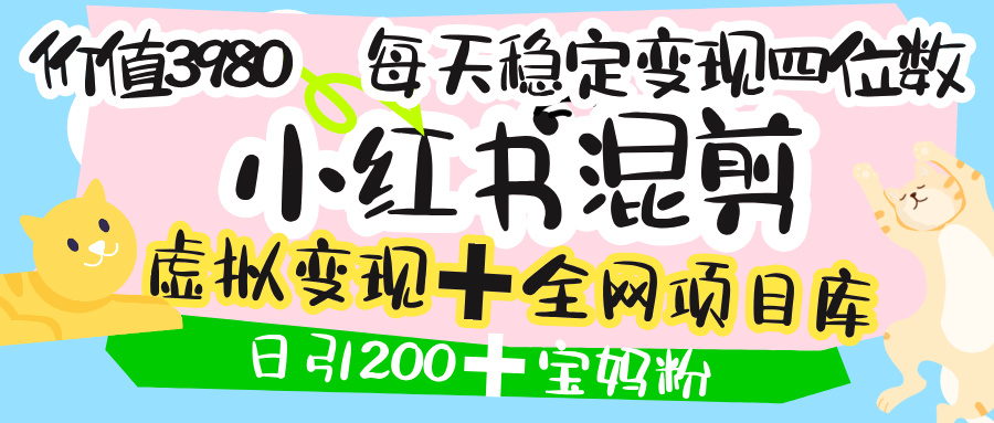 价值3980的小红书混剪， 虚拟变现 ＋全网项目库 ， 日引200+宝妈创业粉，每天稳定四位数变现 - 臻优资源网