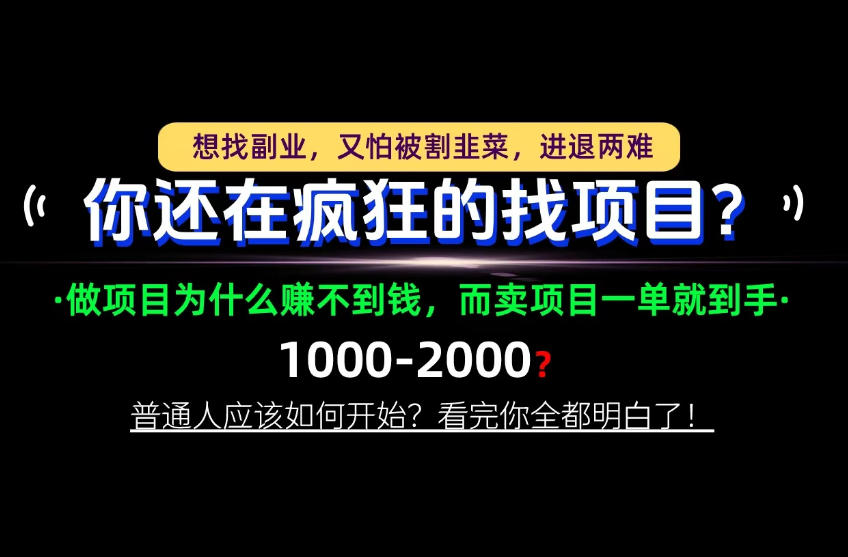 你还在疯狂的找项目？别傻了！卖项目才是真正的一本万利！怎么做，看完你全都明白！【揭秘】 - 臻优资源网