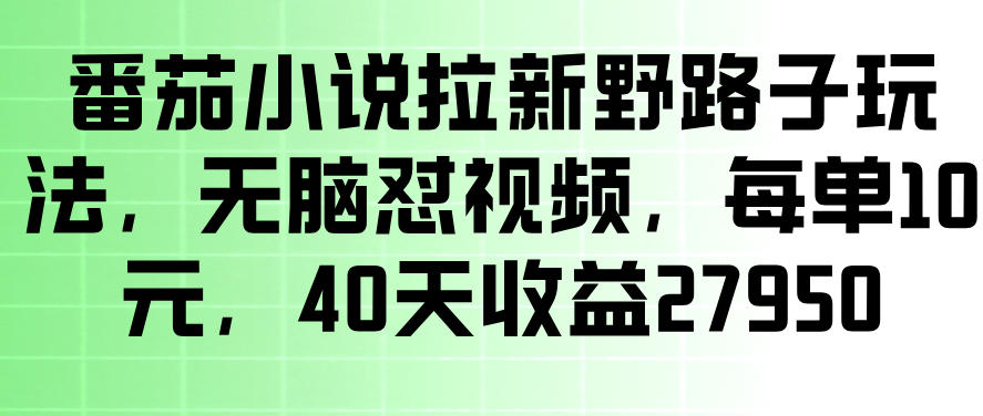 番茄小说拉新野路子玩法，无脑怼视频，玩法简单、见效快，每单10米，40天收益27950 - 臻优资源网