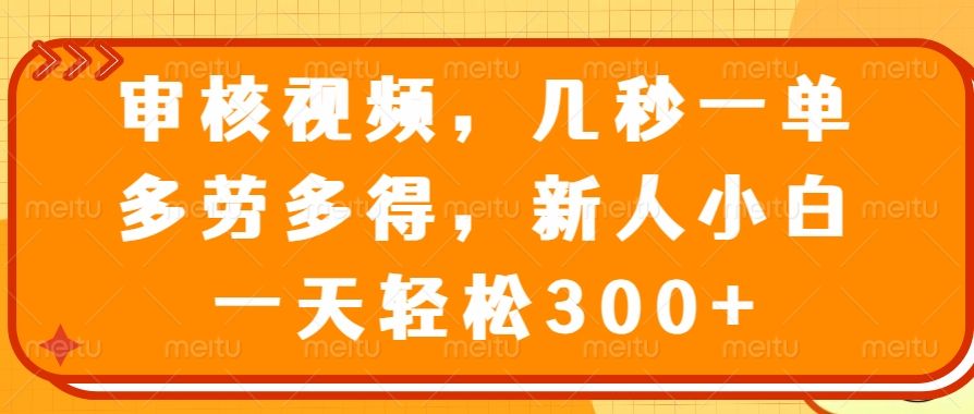 审核视频项目，几秒一单，多劳多得，新人小白一天轻松300+ - 臻优资源网