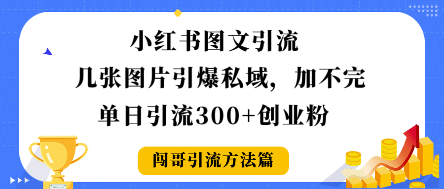 小红书图文引流，几张图片引爆私域加不完，单日引流300＋创业粉 - 臻优资源网
