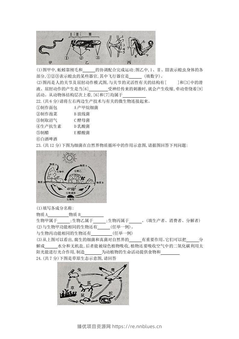 图片[3] - 2020-2021学年河南省新乡市卫辉市八年级上学期期中生物试题及答案(Word版) - 臻优资源网