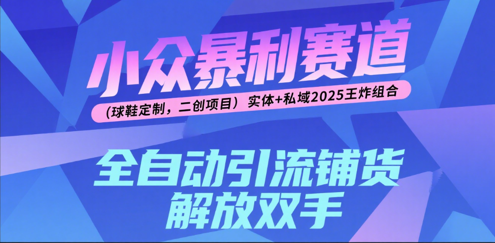 楠—小众暴利赛道（球鞋定制，二创项目）实体+私域2025王炸组合 - 臻优资源网