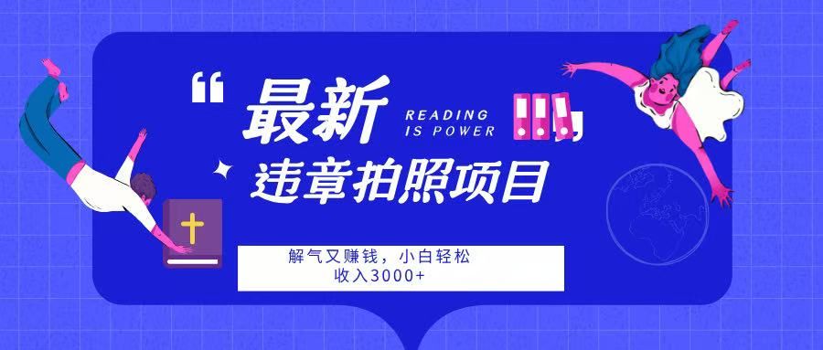 最新违章拍照项目,解气又赚钱,随手一拍,轻松收入3000 - 臻优资源网