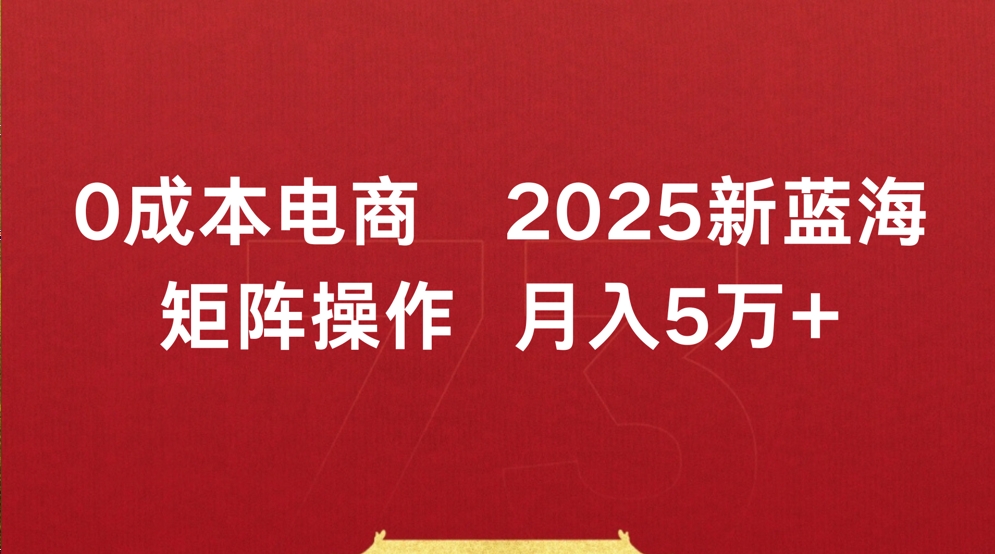 0成本电商2025新蓝海矩阵操作 月入5万+ - 臻优资源网