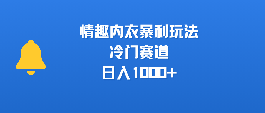 情趣内衣暴利玩法,冷门赛道,日入1000+ - 臻优资源网