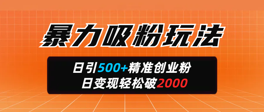 暴力吸粉玩法，日引500+精准创业粉，日变现轻松破2000 - 臻优资源网