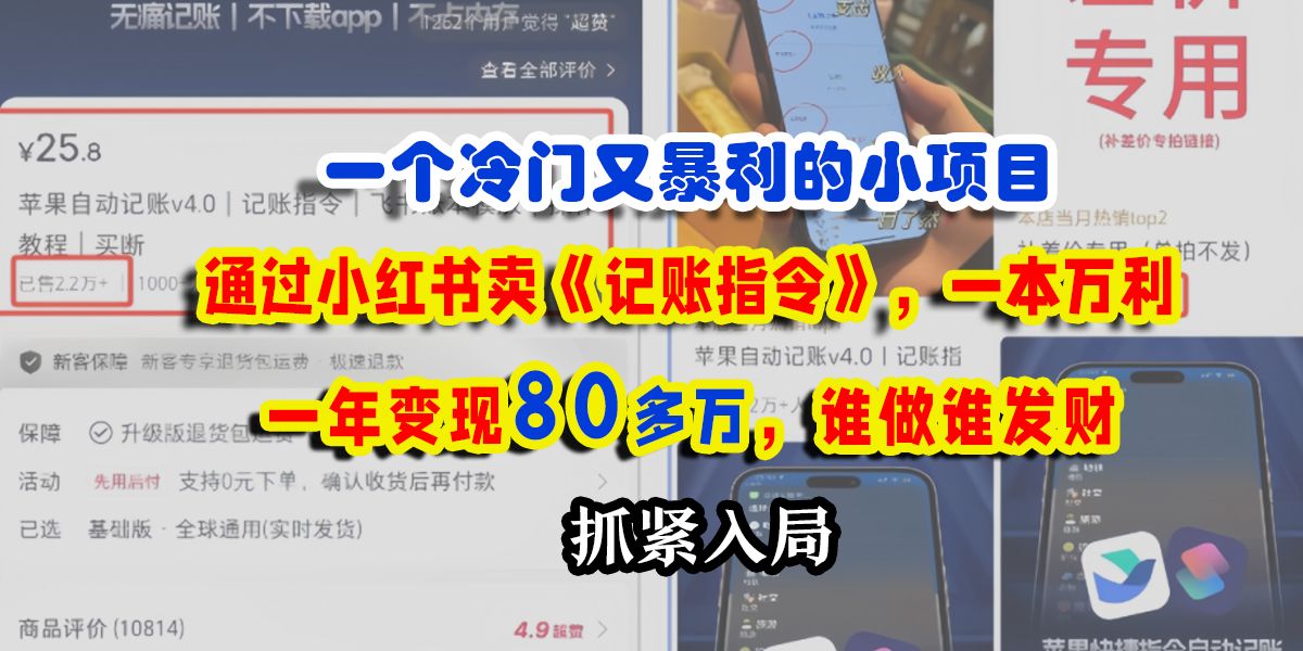 一个冷门又暴利的小项目，通过小红书卖《记账指令》，一本万利，一年变现80多万，谁做谁发财 - 臻优资源网