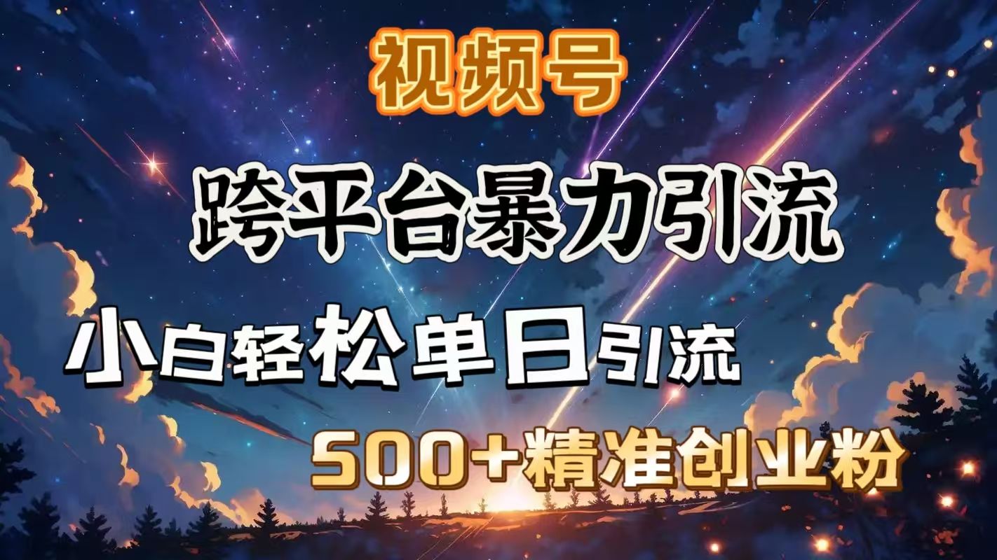 视频号跨平台暴力引流，小白轻松单日引流500＋精准创业粉 - 臻优资源网