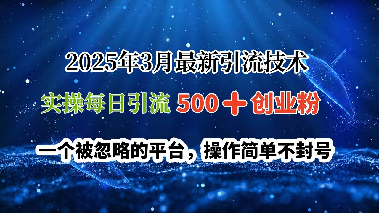 2025年3月最新引流技术，实操每日引流500➕创业粉，一个被忽略的平台，操作简单不封号 - 臻优资源网