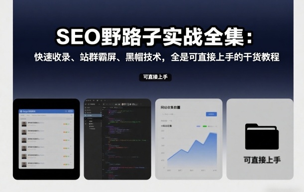 SEO野路子实战全集：快速收录、站群霸屏、黑帽技术，全是可直接上手的干货教程 - 臻优资源网