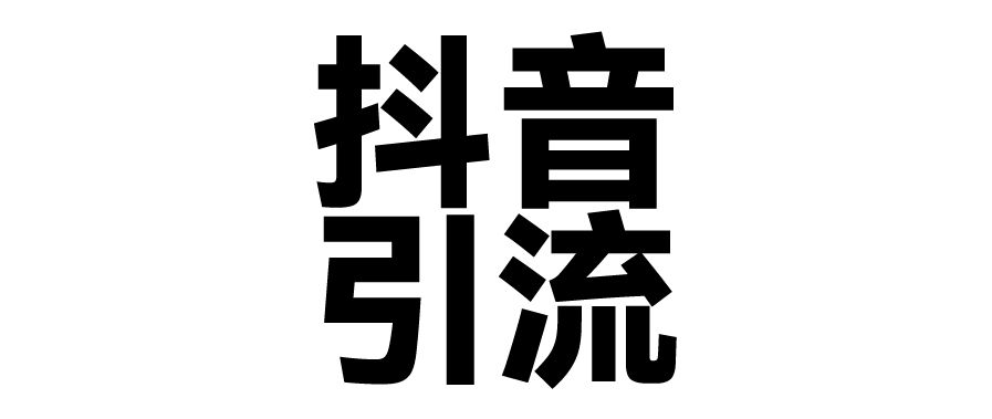 2025年抖音最新暴力引流法，只需一个视频加一段文字，简单操作，单日引300+创业粉 - 臻优资源网