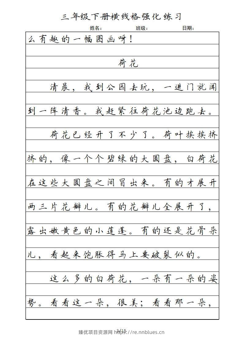 图片[3] - 三年级语文下册横线格（部编版） - 臻优资源网