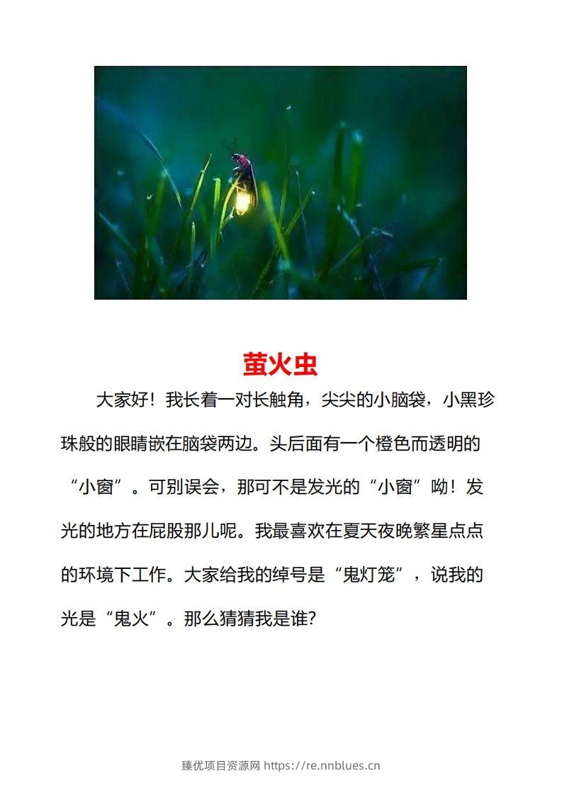 图片[3] - 二年级上册语文口语交际一“有趣的动物”指导及范文 - 臻优资源网