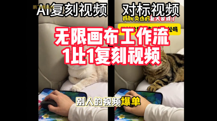 宠物带货视频复刻，无限画布工作流1比1，不用拍摄、不用布景、不用真人出镜，几分钟就能做出一条专业带货视频 - 臻优资源网