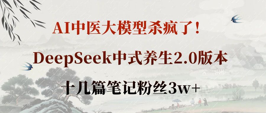 AI中医大模型杀疯了！DeepSeek中式养生2.0版本，十几篇笔记粉丝3w+ - 臻优资源网