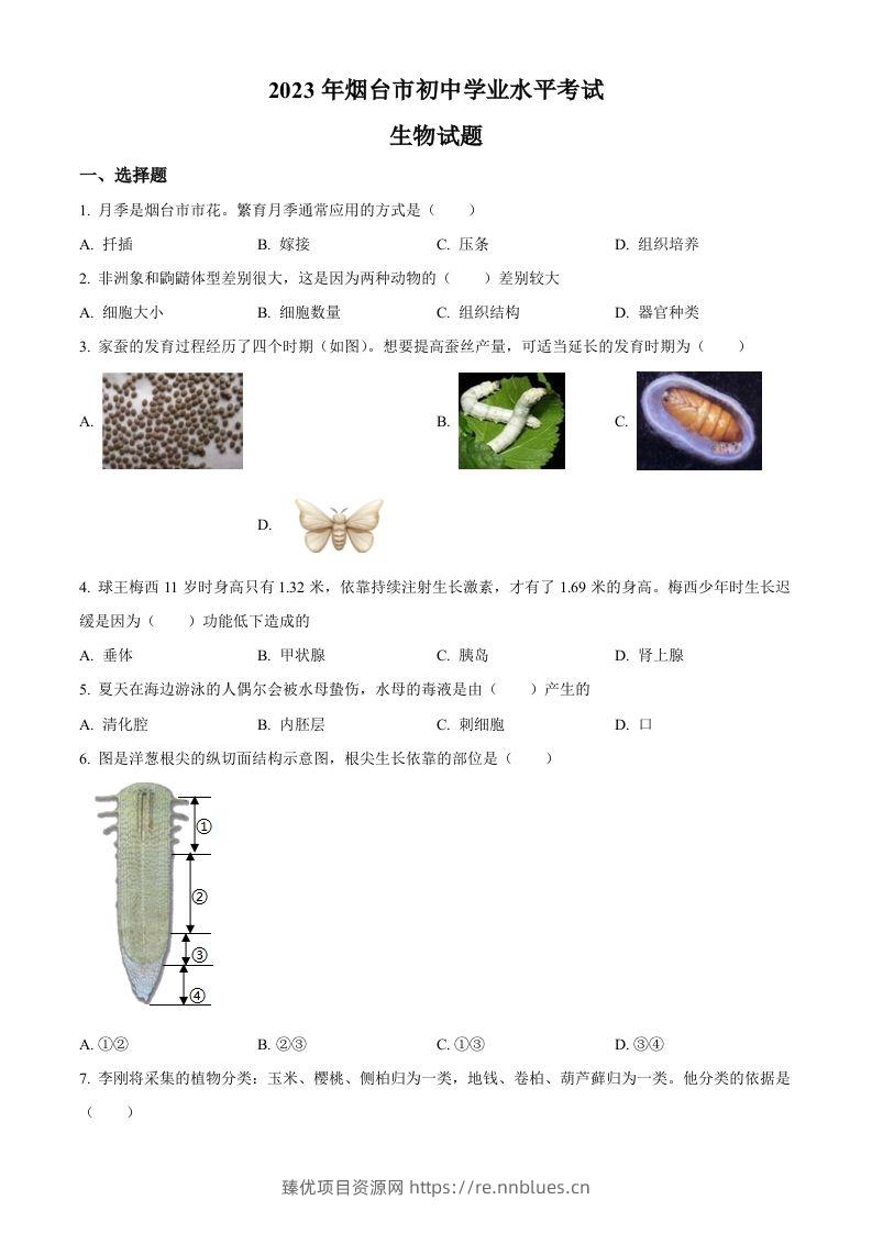 2023年山东省烟台市中考生物真题（空白卷） - 臻优资源网